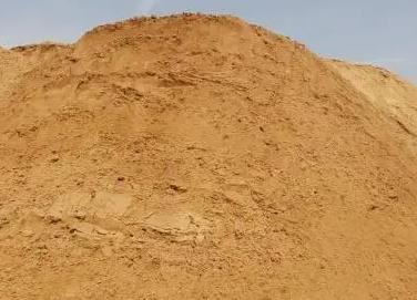 深圳哪里有黄沙批发？